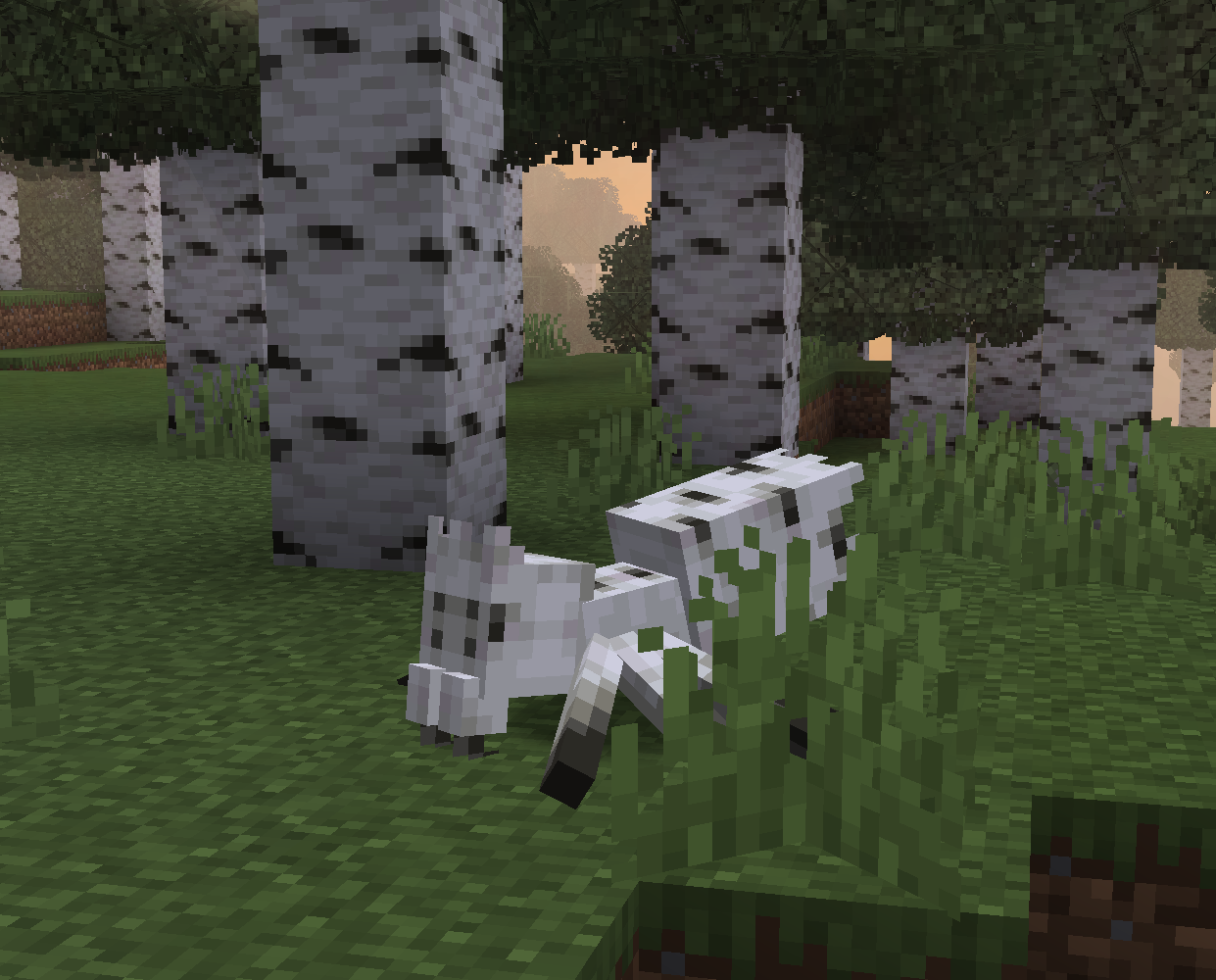 Birch Spider camouflaged among birch trees in Minecraft